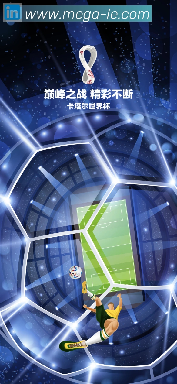未来规划